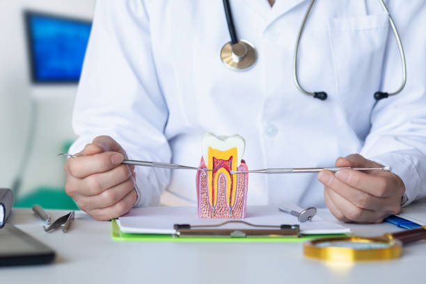 Best Emergency Treatment for Dental Infections or Abscesses in Meadowbrook, VA